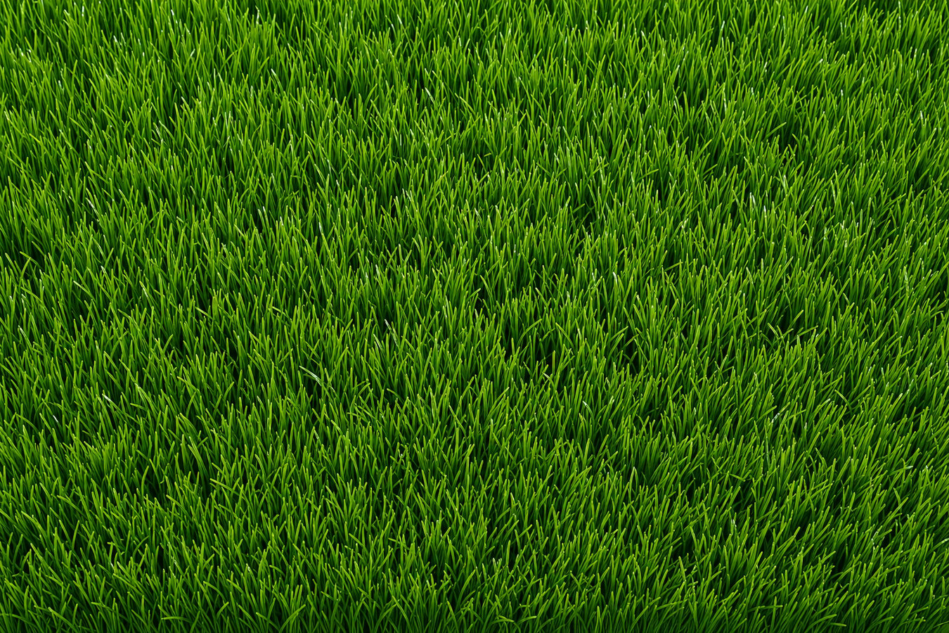 Synthetic lawn turf in Brawley, CA